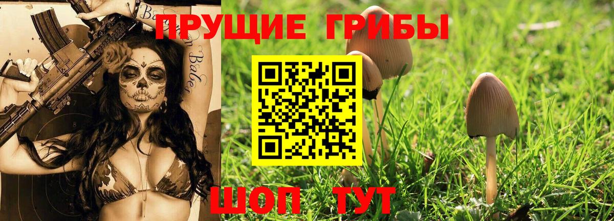 Галлюциногенные грибы прущие грибы Майский