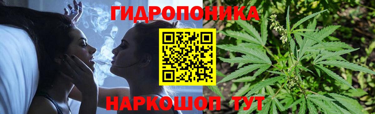Каннабис Bruce Banner  Бошки марихуана Bruce Banner  Майский  Вход с VPN 